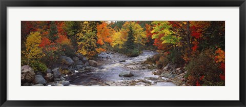 Framed Stream with trees in a forest in autumn, Nova Scotia, Canada Print