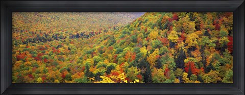 Framed Mountain forest in autumn, Nova Scotia, Canada Print