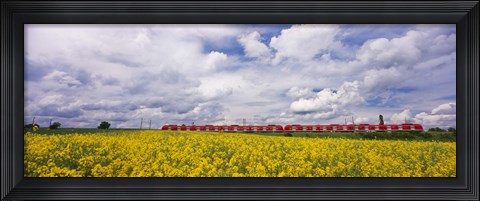 Framed Commuter train passing through oilseed rape (Brassica napus) fields, Baden-Wurttemberg, Germany Print