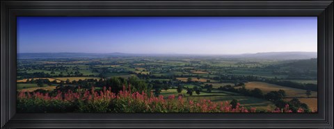 Framed Trees on a landscape, Uley, Cotswold Hills, Gloucestershire, England Print