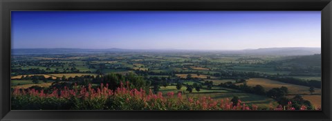 Framed Trees on a landscape, Uley, Cotswold Hills, Gloucestershire, England Print