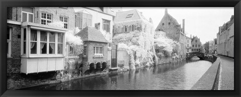 Framed Houses along a channel, Bruges, West Flanders, Belgium Print