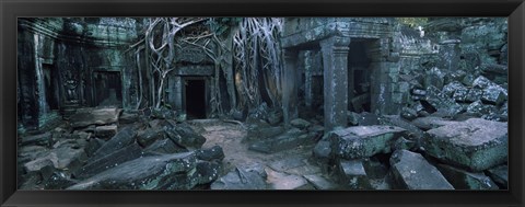 Framed Overgrown tree roots on ruins of a temple, Ta Prohm Temple, Angkor, Cambodia Print