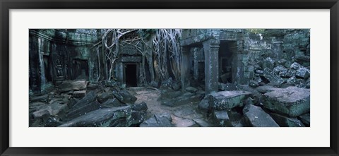 Framed Overgrown tree roots on ruins of a temple, Ta Prohm Temple, Angkor, Cambodia Print