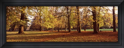 Framed Ludwigsburg Park in autumn, Ludwigsburg, Baden-Wurttemberg, Germany Print