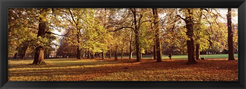 Framed Ludwigsburg Park in autumn, Ludwigsburg, Baden-Wurttemberg, Germany Print