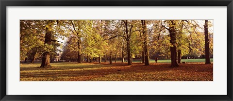 Framed Ludwigsburg Park in autumn, Ludwigsburg, Baden-Wurttemberg, Germany Print