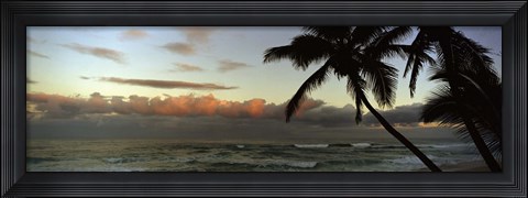 Framed Palm trees on the beach, Hawaii, USA Print