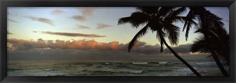 Framed Palm trees on the beach, Hawaii, USA Print