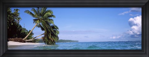 Framed Palm trees on the beach, Indonesia Print