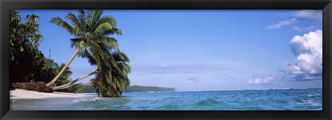 Framed Palm trees on the beach, Indonesia Print