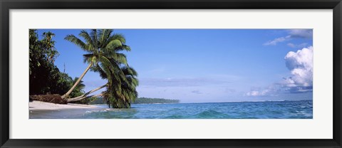 Framed Palm trees on the beach, Indonesia Print