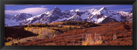 Framed Mountains covered with snow and fall colors, near Telluride, Colorado Print