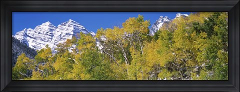 Framed Forest with snowcapped mountains in the background, Maroon Bells, Aspen, Pitkin County, Colorado, USA Print