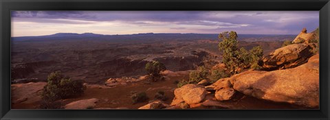 Framed Canyonlands National Park, San Juan County, Utah Print