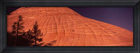 Framed Shadow of trees on a rock formation, Checkerboard Mesa, Zion National Park, Utah, USA Print