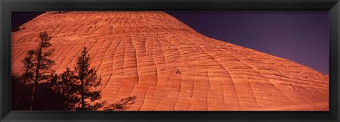 Framed Shadow of trees on a rock formation, Checkerboard Mesa, Zion National Park, Utah, USA Print