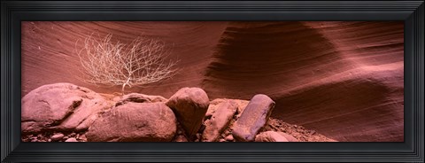 Framed Bare Tree and Rock formations, Antelope Canyon, Arizona Print