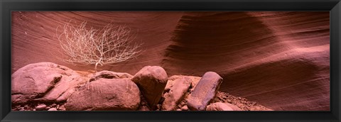 Framed Bare Tree and Rock formations, Antelope Canyon, Arizona Print