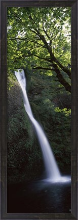 Framed Waterfall in a forest, Horsetail falls, Larch Mountain, Hood River, Columbia River Gorge, Oregon, USA Print