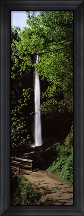 Framed Trail path by a waterfall, Columbia River Gorge, Oregon, USA Print