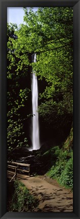 Framed Trail path by a waterfall, Columbia River Gorge, Oregon, USA Print