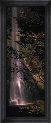 Framed Waterfall in a forest, Columbia Gorge, Oregon, USA Print