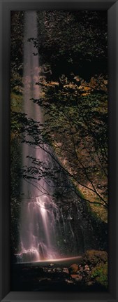 Framed Waterfall in a forest, Columbia Gorge, Oregon, USA Print