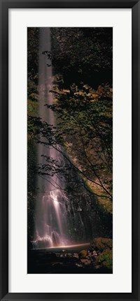 Framed Waterfall in a forest, Columbia Gorge, Oregon, USA Print