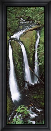 Framed High angle view of a waterfall in a forest, Triple Falls, Columbia River Gorge, Oregon (vertical) Print
