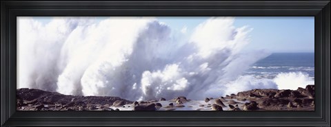 Framed Shore Acres State Park, Oregon Print