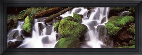 Framed Cascading waterfall in a rainforest, Olympic National Park, Washington State, USA Print