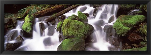 Framed Cascading waterfall in a rainforest, Olympic National Park, Washington State, USA Print