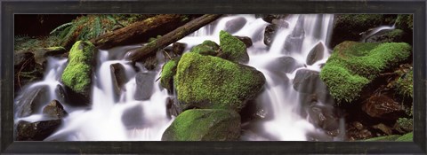 Framed Cascading waterfall in a rainforest, Olympic National Park, Washington State, USA Print