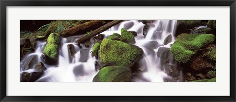 Framed Cascading waterfall in a rainforest, Olympic National Park, Washington State, USA Print