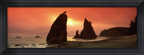 Framed Silhouette of seastacks at sunset, Olympic National Park, Washington State Print