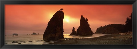 Framed Silhouette of seastacks at sunset, Olympic National Park, Washington State Print