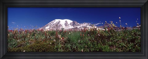 Framed Wildflowers on mountains, Mt Rainier, Pierce County, Washington State, USA Print