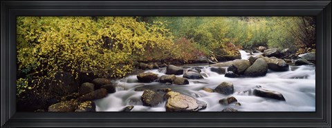 Framed River passing through a forest, Inyo County, California, USA Print