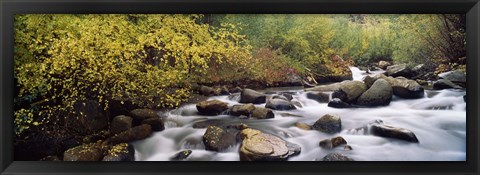 Framed River passing through a forest, Inyo County, California, USA Print