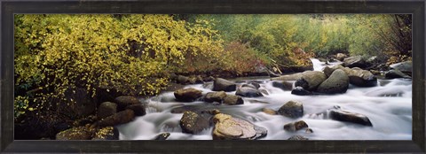 Framed River passing through a forest, Inyo County, California, USA Print