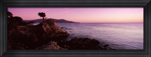 Framed Silhouette of a cypress tree at coast, The Lone Cypress, 17 mile Drive, Carmel, California, USA Print