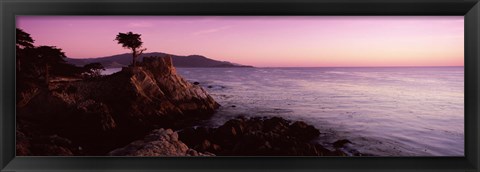 Framed Silhouette of a cypress tree at coast, The Lone Cypress, 17 mile Drive, Carmel, California, USA Print