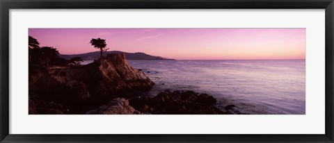 Framed Silhouette of a cypress tree at coast, The Lone Cypress, 17 mile Drive, Carmel, California, USA Print