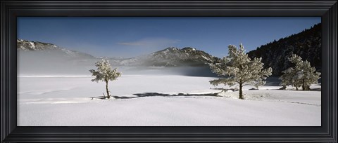 Framed Trees on a snow covered landscape, French Riviera, France Print