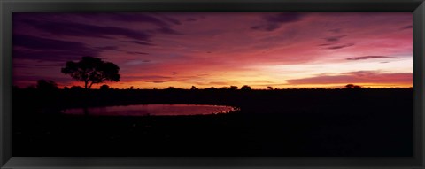 Framed Waterhole in a forest, Okaukuejo, Etosha National Park, Kunene Region, Namibia Print