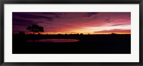 Framed Waterhole in a forest, Okaukuejo, Etosha National Park, Kunene Region, Namibia Print