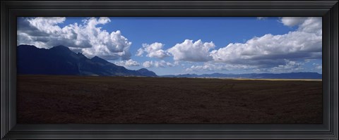 Framed Cattle pasture, Highway N7 from cape town to Namibia towards Citrusdal, Western Cape Province, South Africa Print