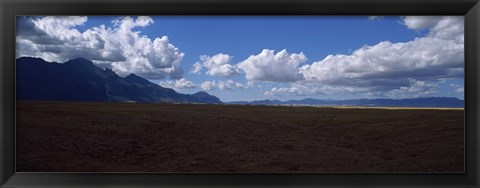 Framed Cattle pasture, Highway N7 from cape town to Namibia towards Citrusdal, Western Cape Province, South Africa Print