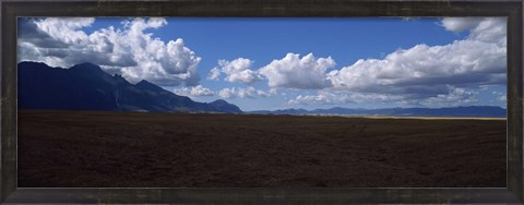 Framed Cattle pasture, Highway N7 from cape town to Namibia towards Citrusdal, Western Cape Province, South Africa Print